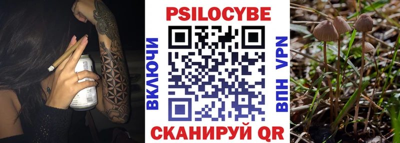 KRAKEN   Теберда  Псилоцибиновые грибы Magic Shrooms 