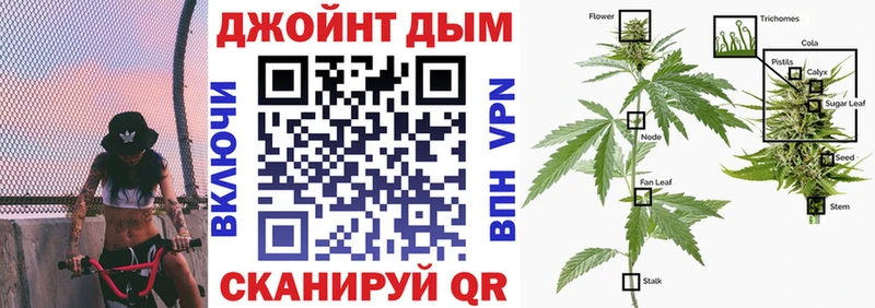 Шишки марихуана семена  Теберда 